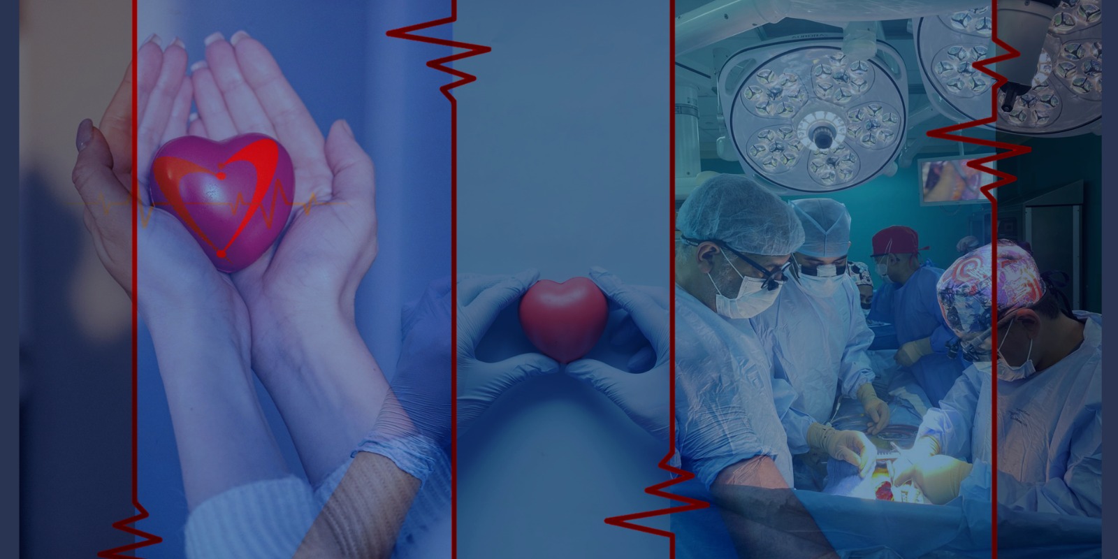 Heartline Clinics surgical team